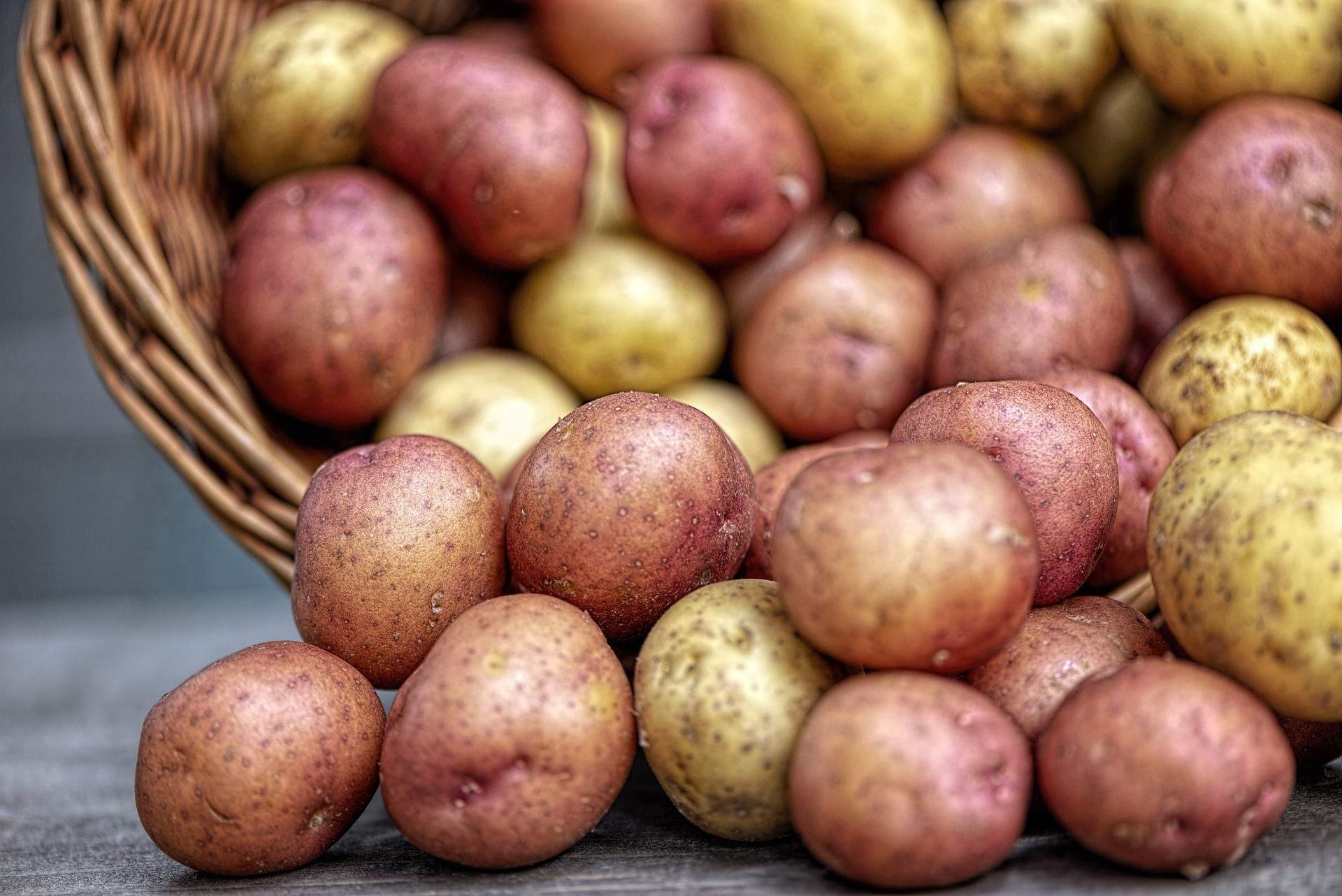 Conservació patates / Foto: Pixabay