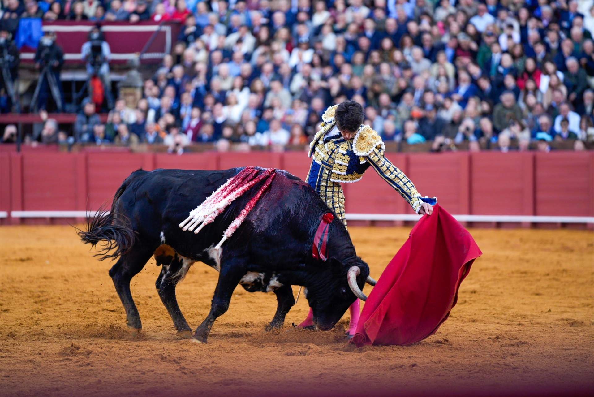 Vox Baleares modificará la ley para que los menores puedan volver a asistir a las corridas de toros