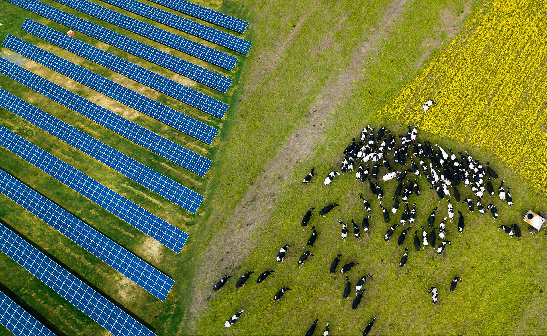 En Alemania también consideran que los desarrollos agrovoltaicos son el futuro