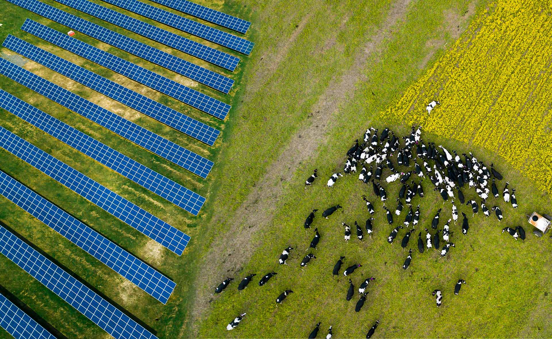 En Alemania también consideran que los desarrollos agrovoltaicos son el futuro