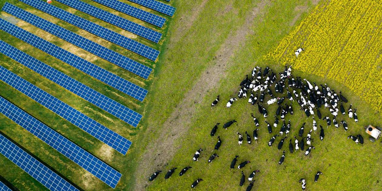 BBVA energia agrovoltaica BBVA energia agrovoltaica