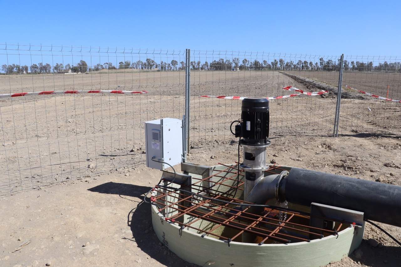 Més problemes per l'arròs: la salinització del Delta és una amenaça, però la Generalitat sap combatre-la