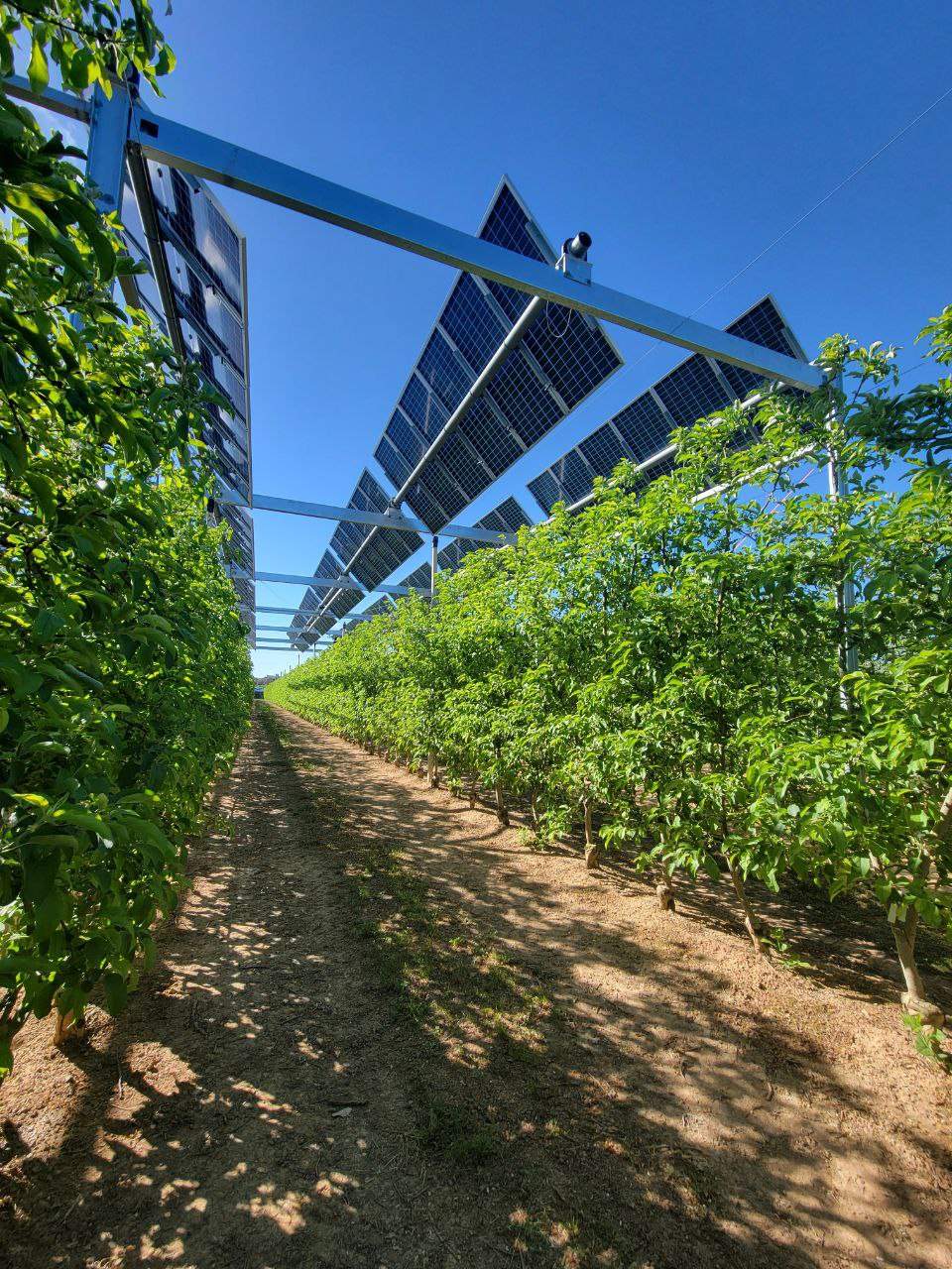 La Generalitat vol una Catalunya agrovoltaica