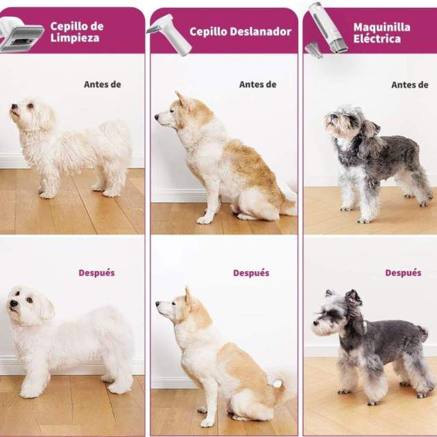 L'abans i el después L'abans i el después