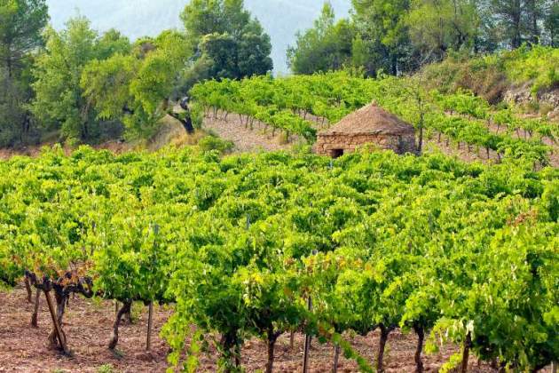 pla de bages pla de bages
