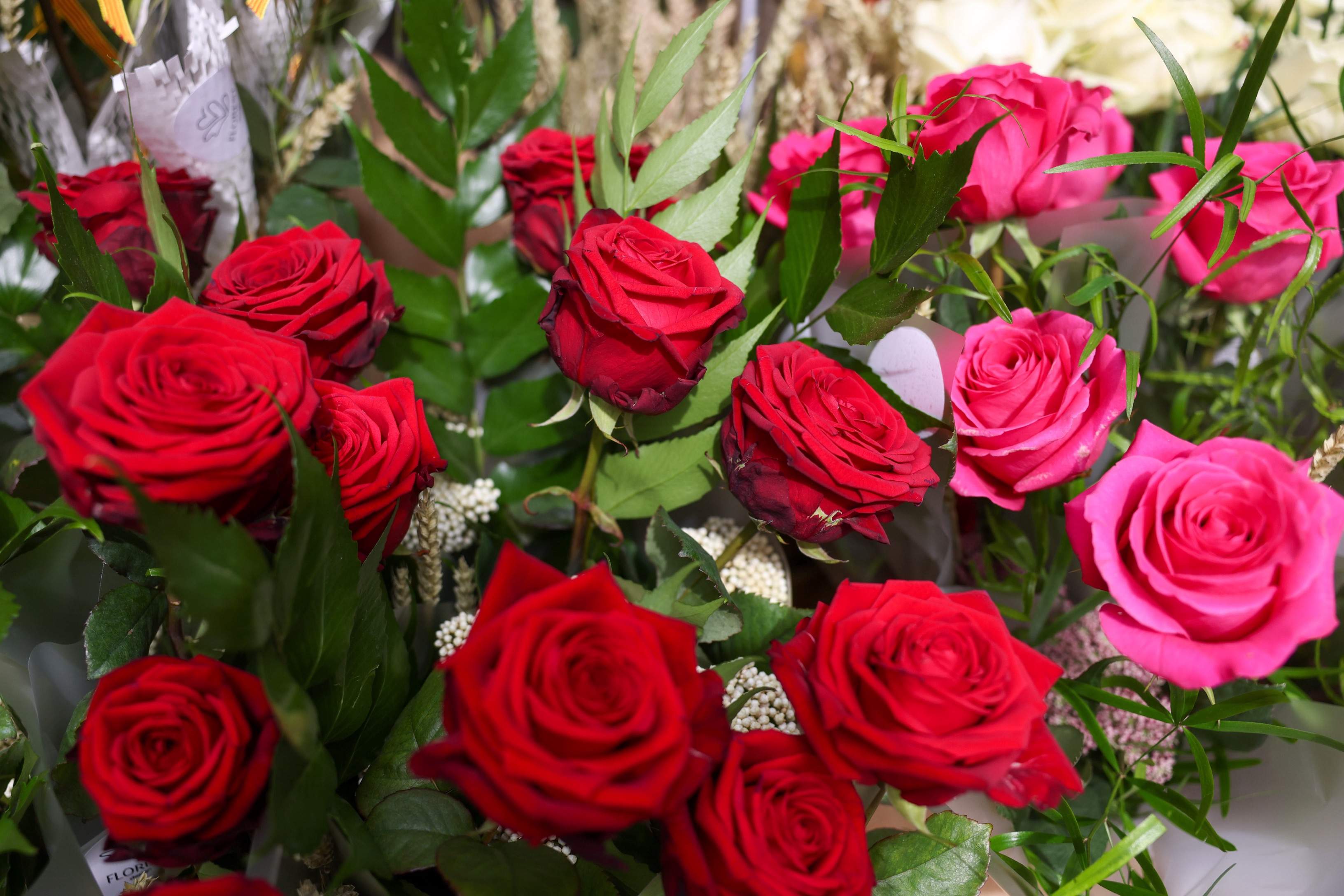 Setge als venedors de roses sense permís per Sant Jordi: així actuarà la Guàrdia Urbana de Barcelona