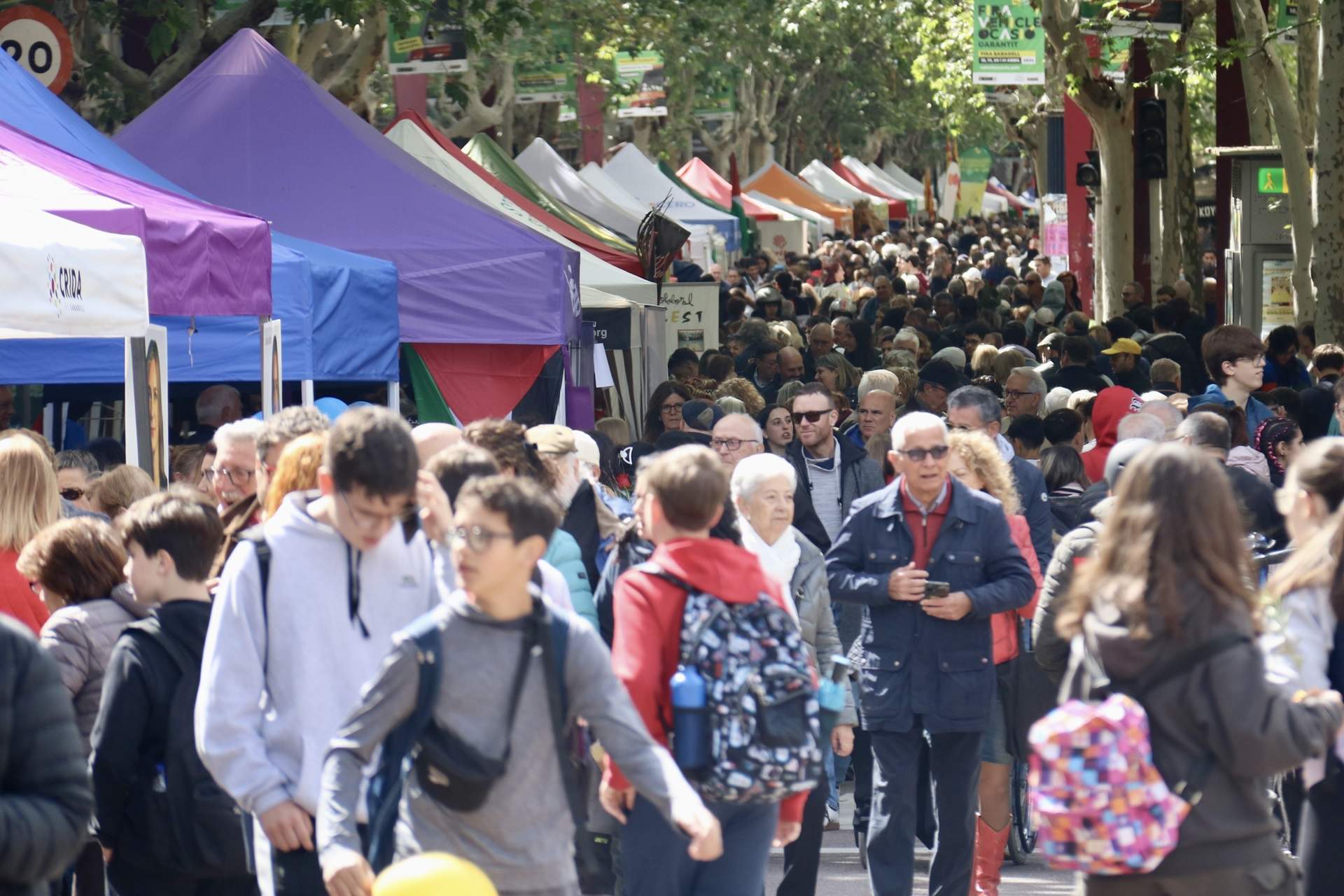 diada de Sant Jordi a Sabadell diada de Sant Jordi a Sabadell