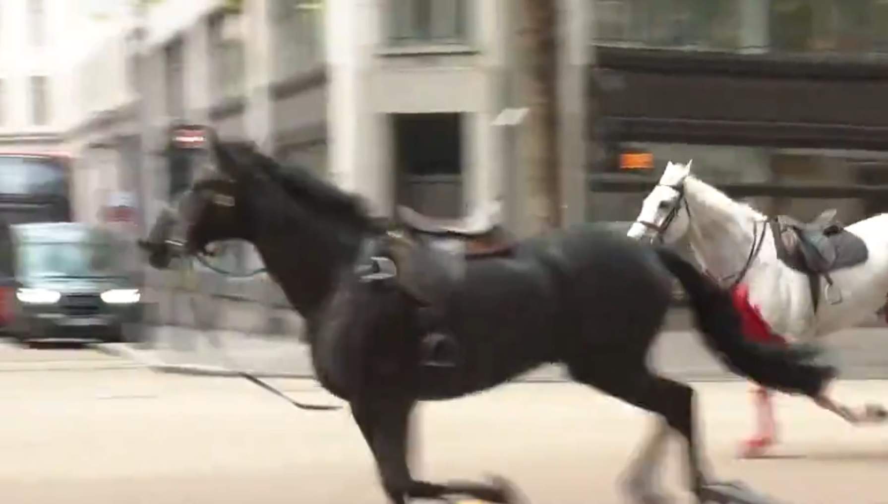 Caos als carrers de Londres: uns cavalls de l'Exèrcit s'escapen i fereixen quatre persones