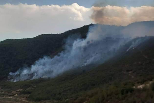 incendi pobla massaluca