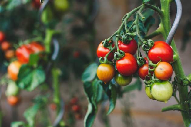 markus spiske 3rGrIigBq8Q unsplash markus spiske 3rGrIigBq8Q unsplash
