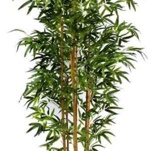 Arbre artificial Bambú