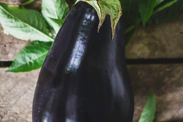 maja vujic 2QcrIXn98PM unsplash maja vujic 2QcrIXn98PM unsplash