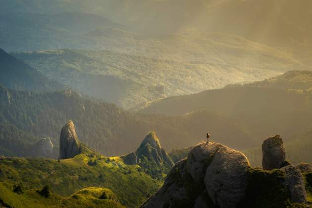 david marcu 78A265wPiO4 unsplash david marcu 78A265wPiO4 unsplash