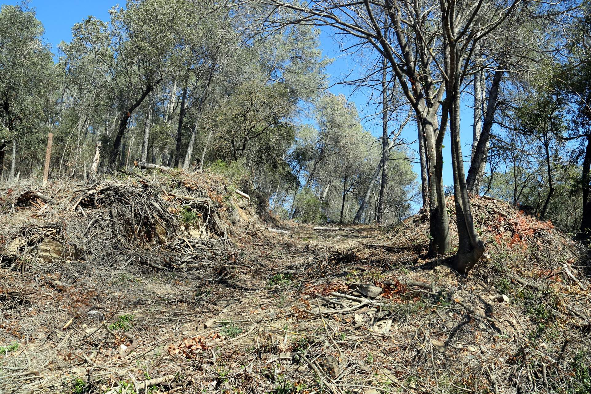 El AMB reclama al Govern el millón de euros prometido para mejorar la gestión de Collserola