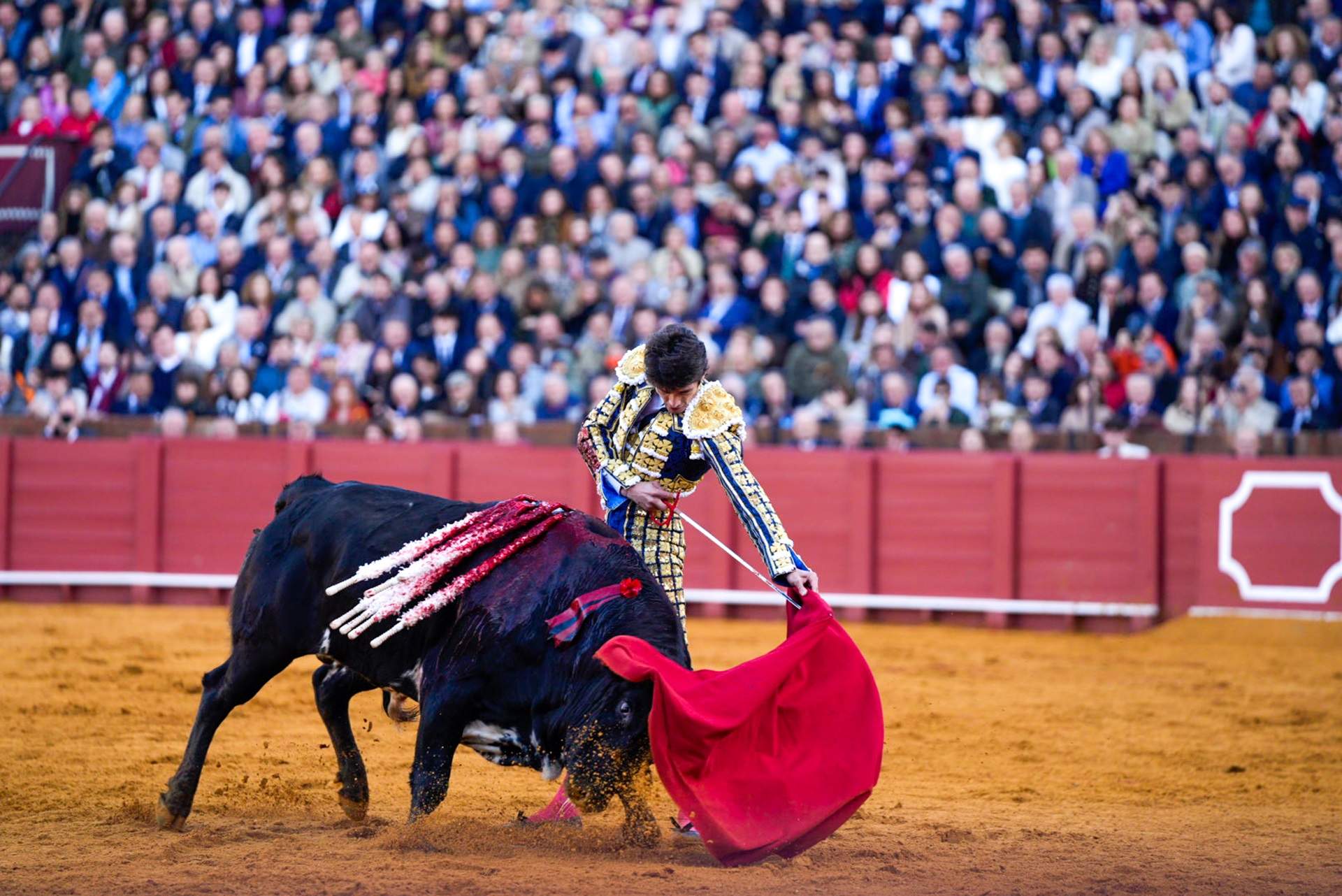 corrida toros / Europa Press