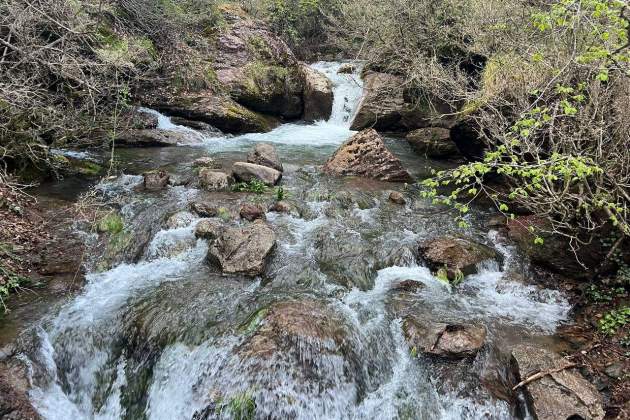Las fuentes del Llobregat, a Castellano de n'Hug foto acn Las fuentes del Llobregat, a Castellano de n'Hug foto acn
