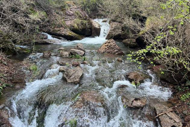 Les fonts del Llobregat, a Castellà de n'Hug foto acn