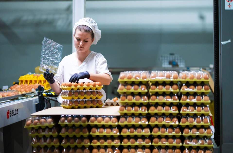 Consumo de huevos en España Consumo de huevos en España