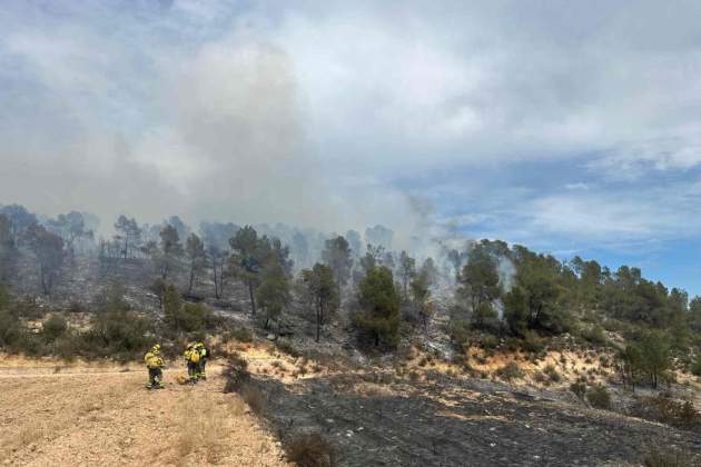 incendio vegetacio batea incendio vegetacio batea