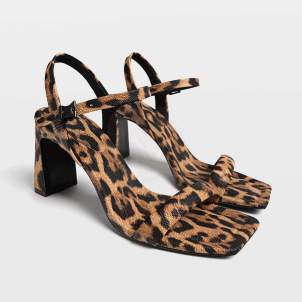 Talons d'Stradivarius