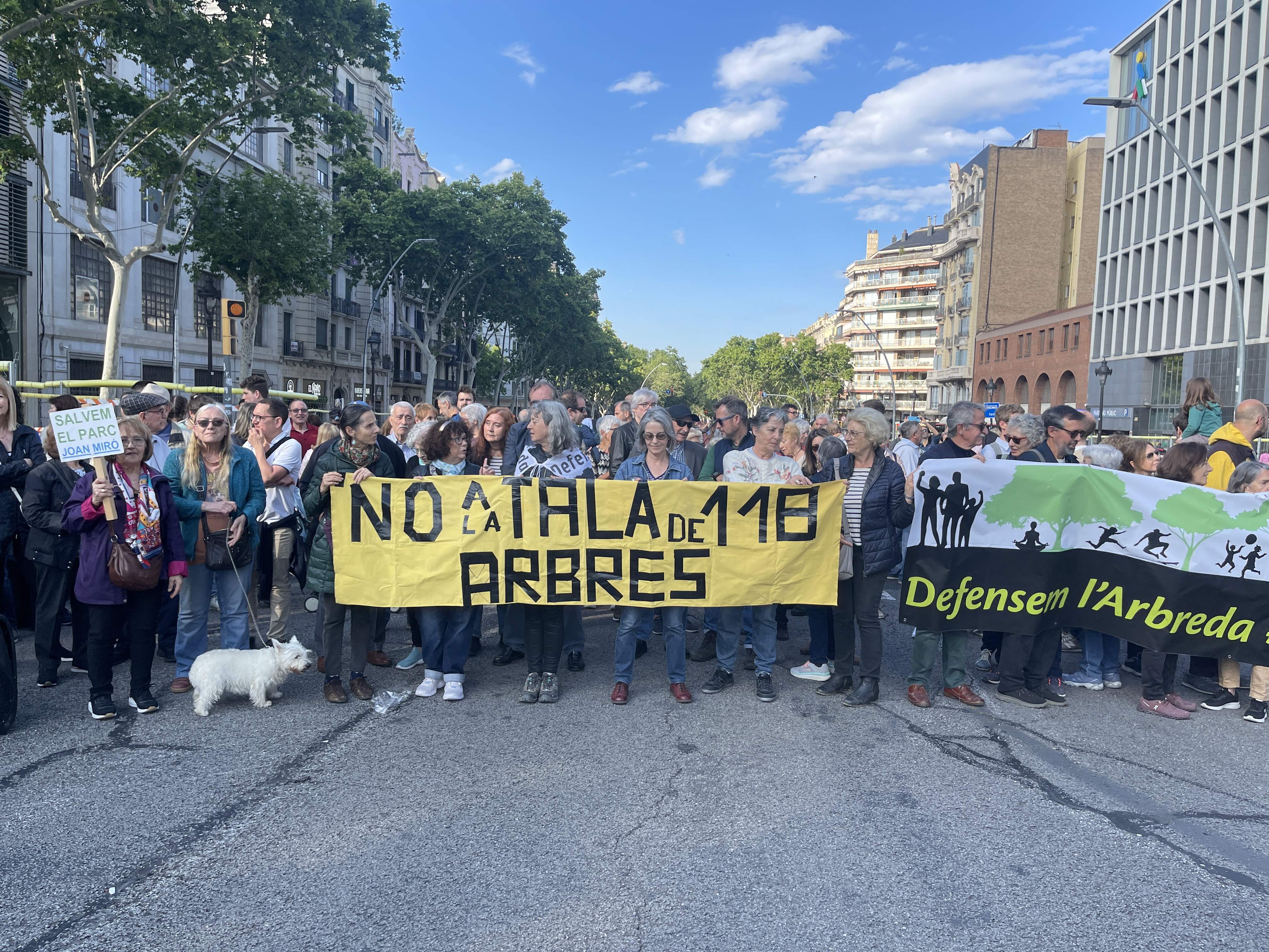 Tall de la Gran Via en defensa del parc de Joan Miró de Barcelona i contra la tala d’arbres