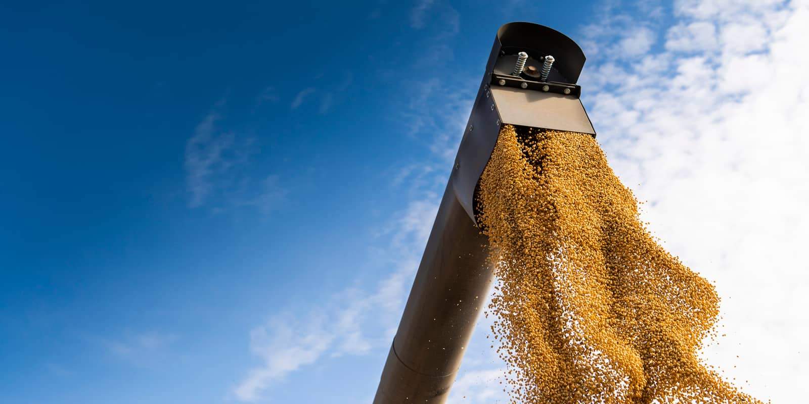 Barcelona se afianza como centro de producción de proteínas alternativas