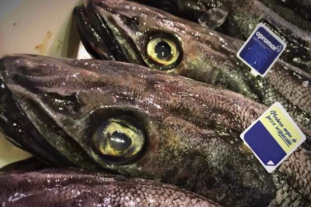 Lluc, pescado|pez / Europa Press Lluc, pescado|pez / Europa Press