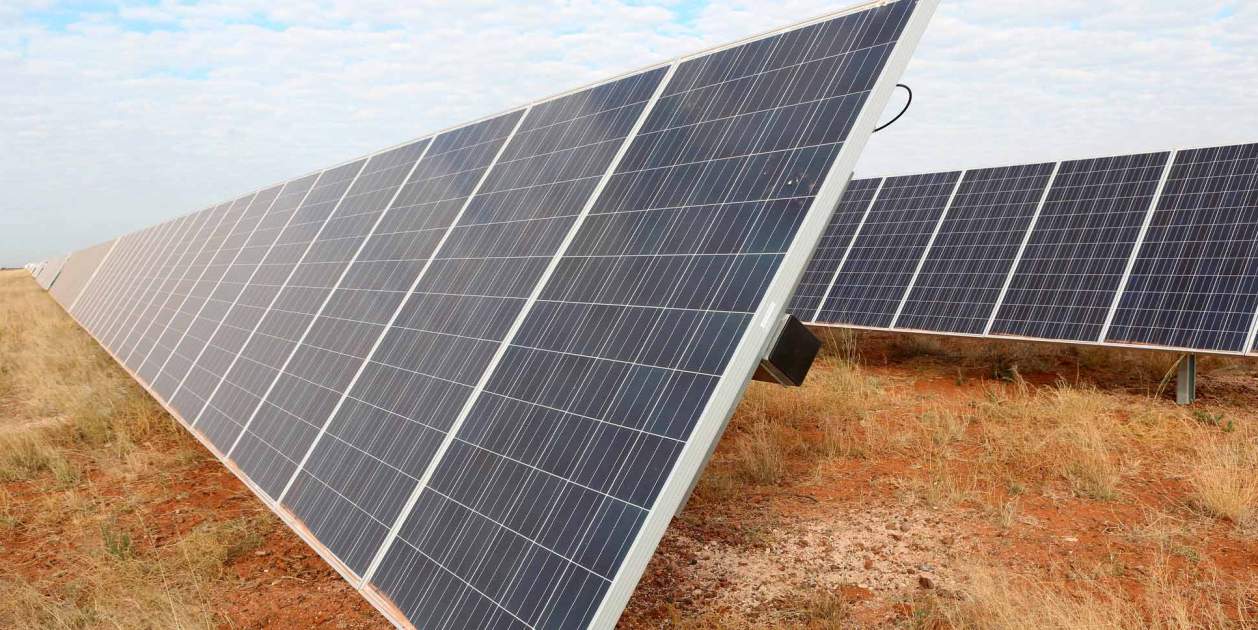 xarxa tailed hawk solar farm