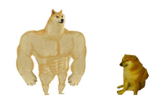 Kabosu gos mem Doge 2 Kabosu gos mem Doge 2