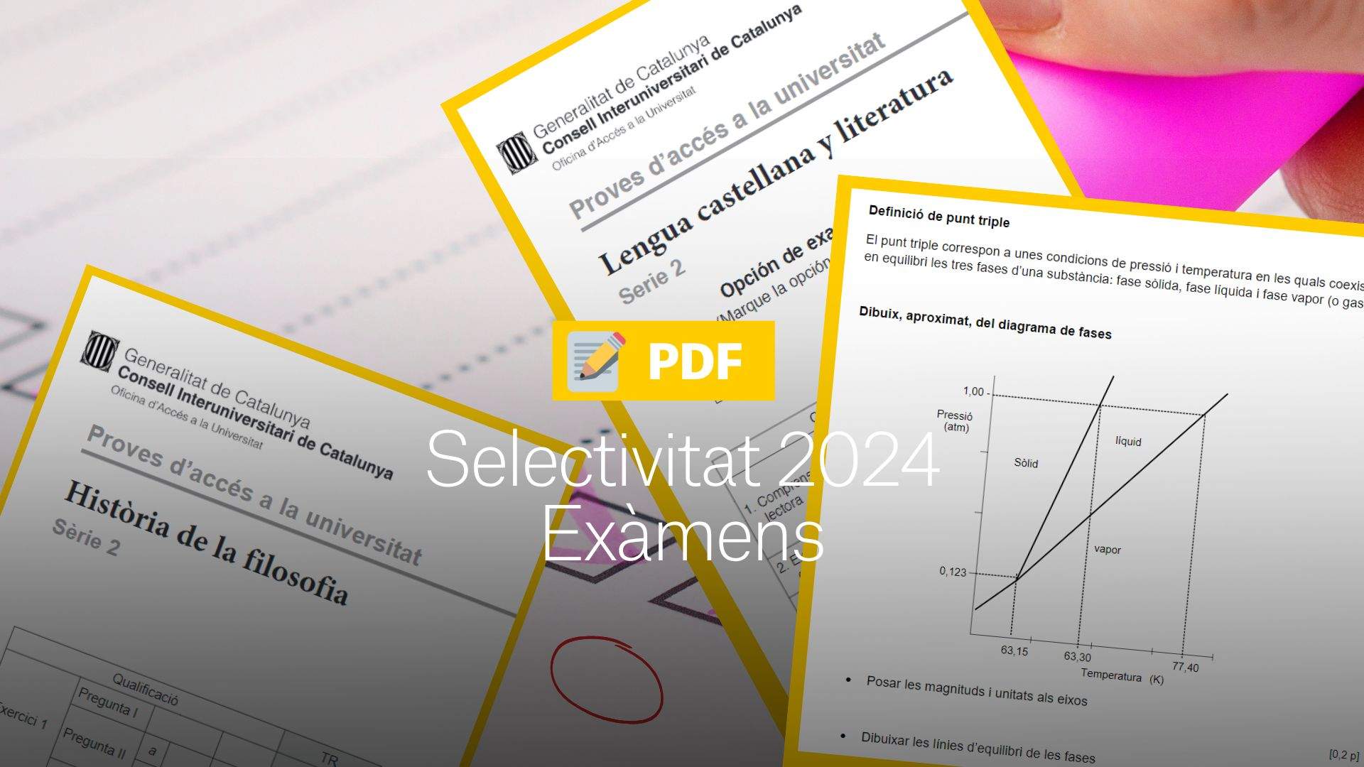 correccions solucions selectivitat 2024 pdf