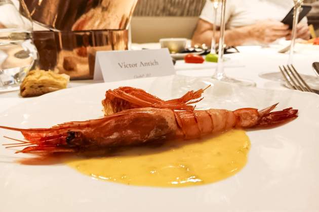 gambas gambas