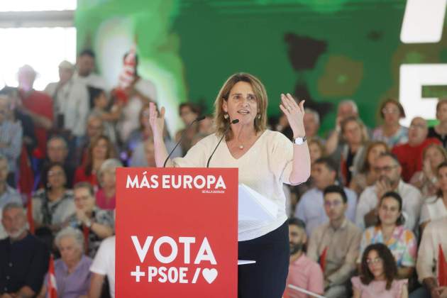 Teresa Ribera candidata elecciones europes 2024 / EFE Teresa Ribera candidata elecciones europes 2024 / EFE