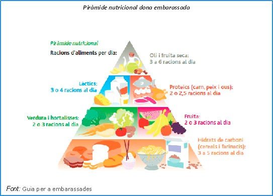 piramide aliments embarassada