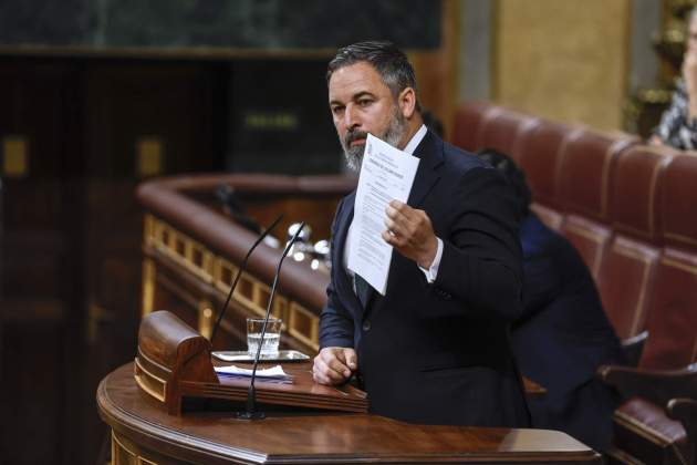 Santiago Abascal / EFE Santiago Abascal / EFE