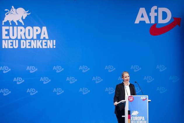 Alice Weidel afd efe Alice Weidel afd efe
