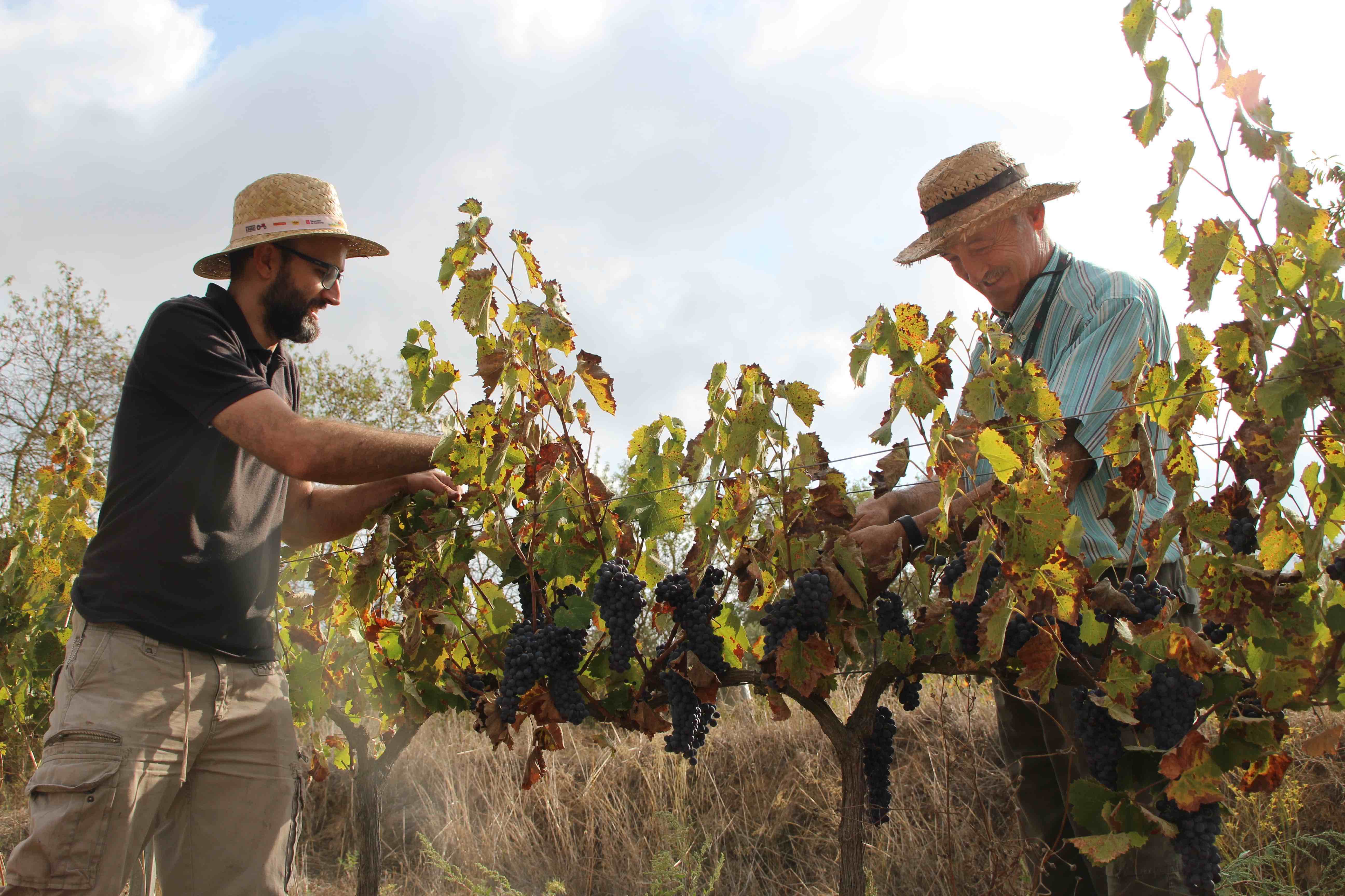La feria más agrícola del país y otros acontecimientos que no te puedes perder