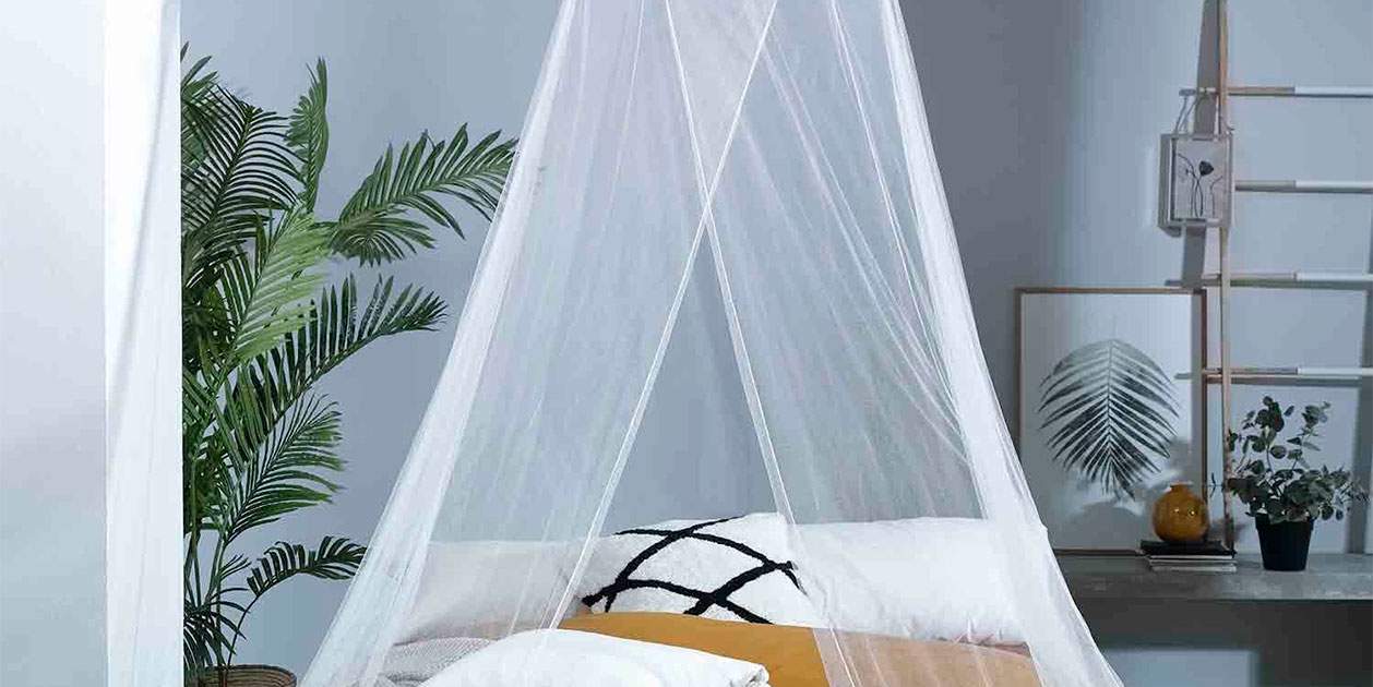 Lidl rescata una solución contra los mosquitos del siglo pasado