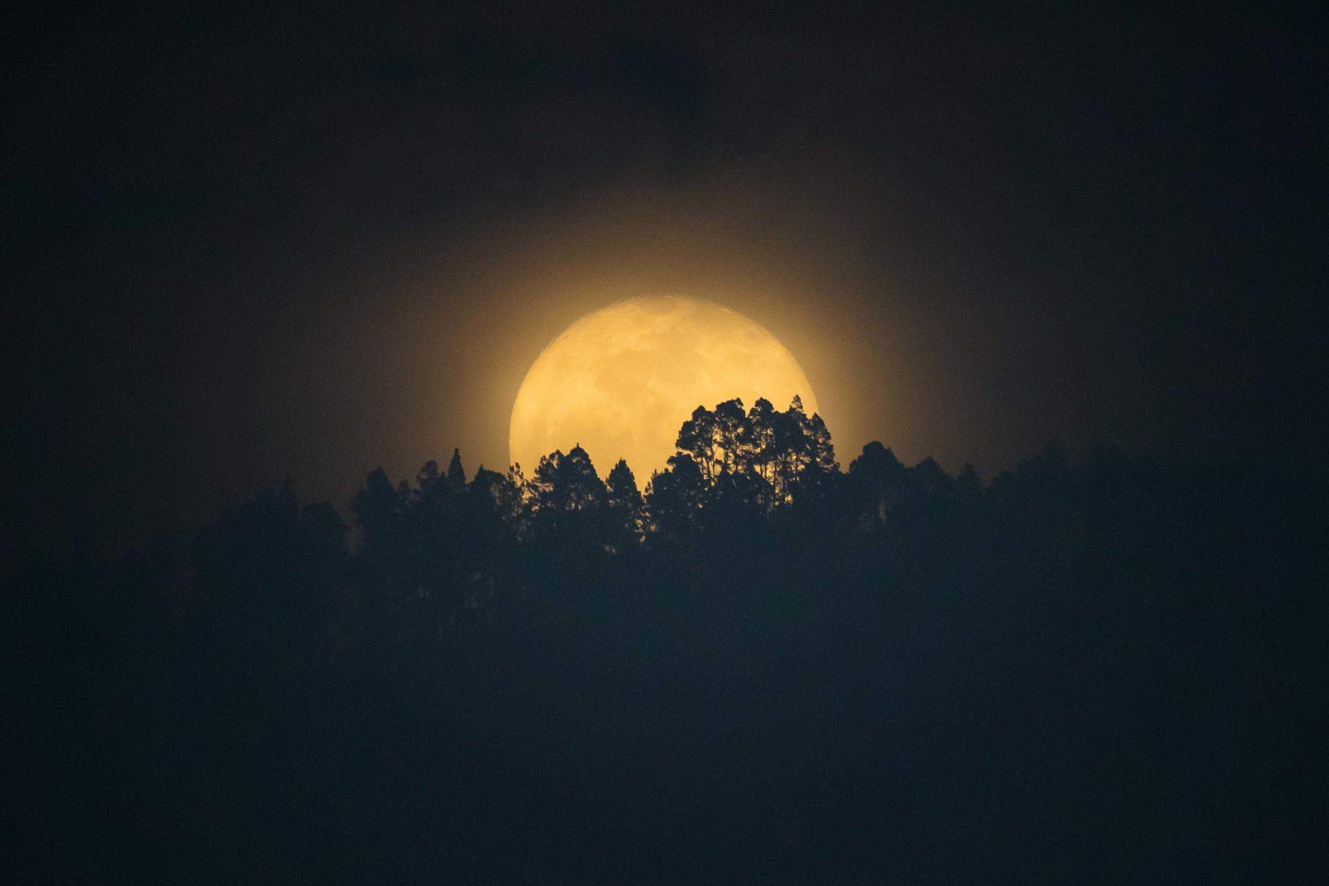 Caracas (Veneçuela)