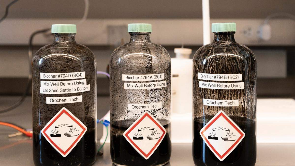 Las boñigas de vaca también sirven para producir hidrógeno