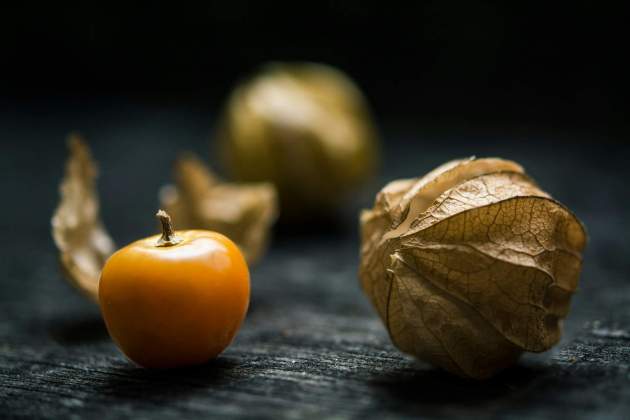 jonathan pielmayer 6yYLqb Z8nQ unsplash jonathan pielmayer 6yYLqb Z8nQ unsplash
