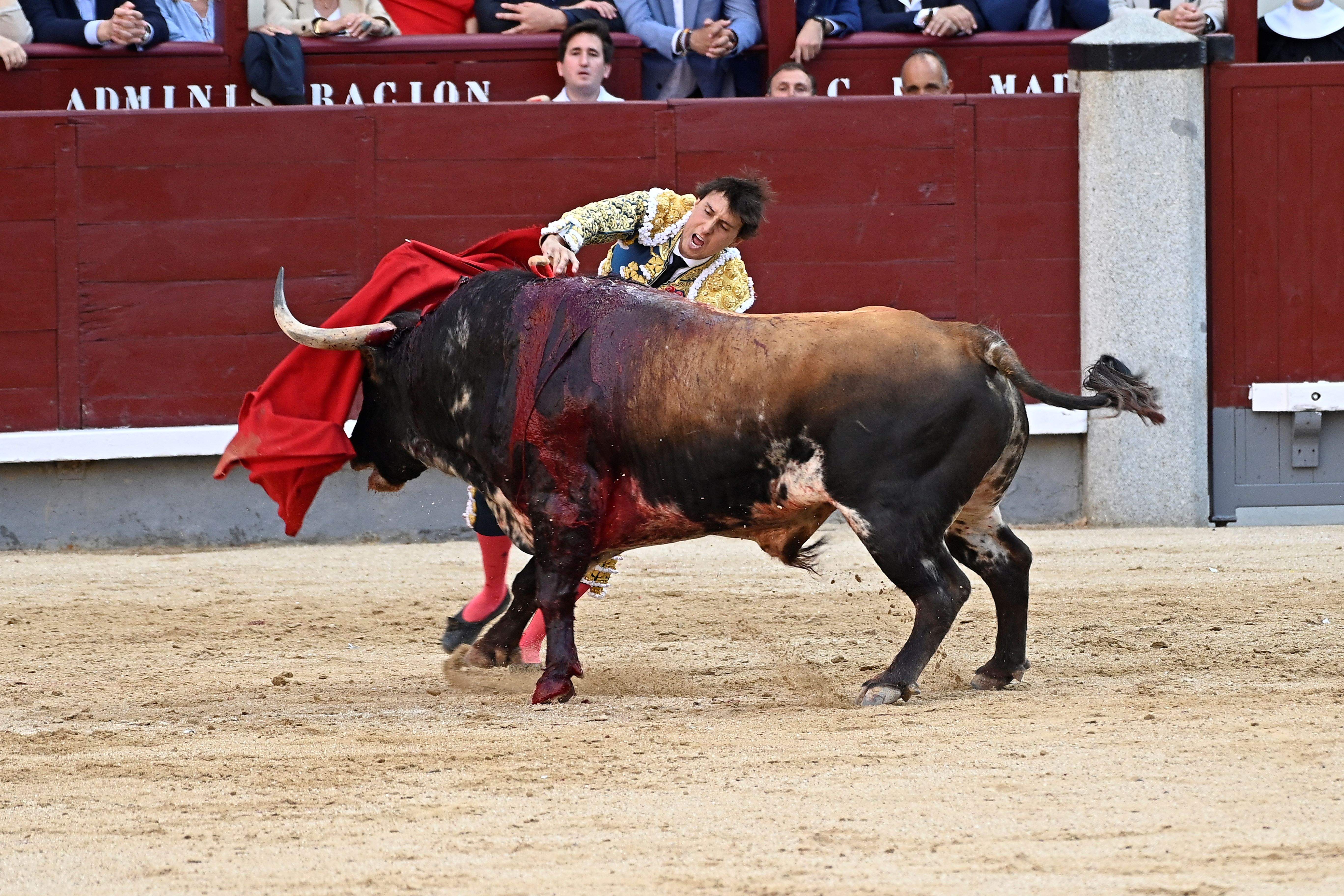 corrides de toros balears. europa press