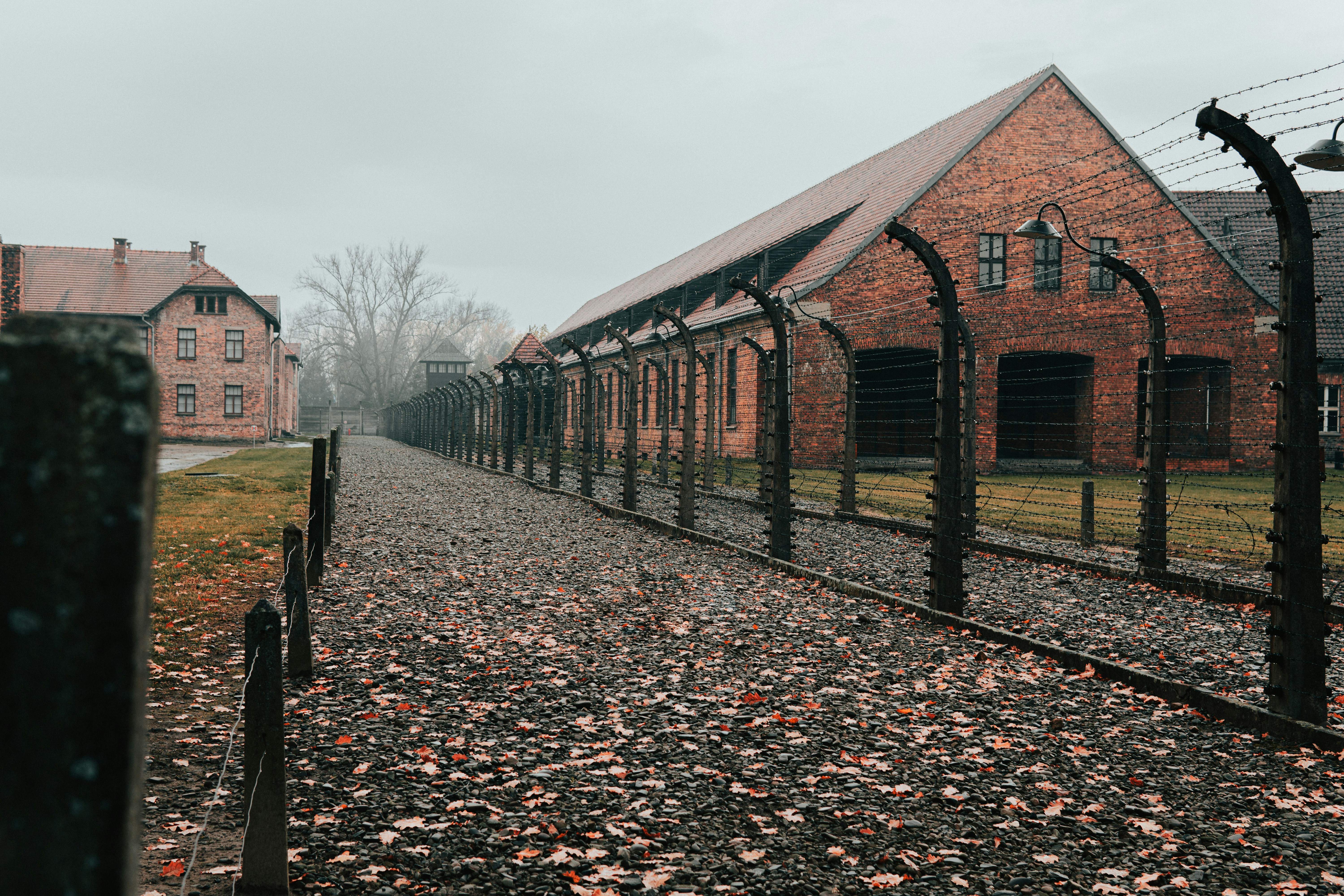 Eleccions UE: supervivents de l'Holocaust demanen als joves mobilitzar-se per aturar l'extrema dreta