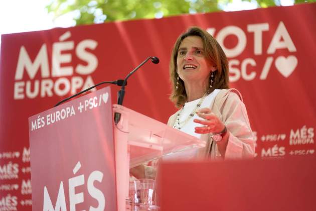 Teresa Ribera psoe acte campanya eleccions europees 2024 / EFE Teresa Ribera psoe acte campanya eleccions europees 2024 / EFE