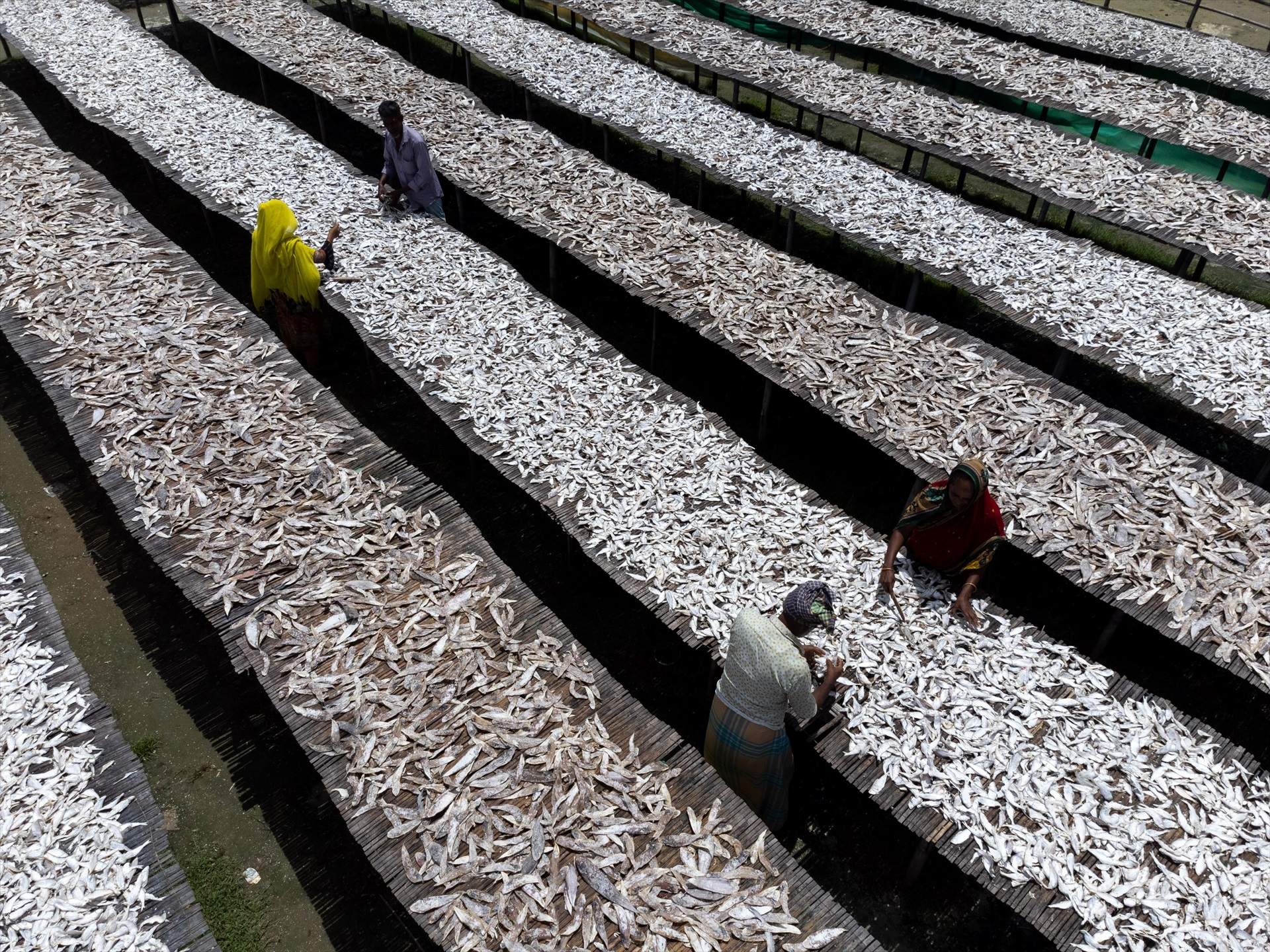Cox's Bazar (Bangladesh)