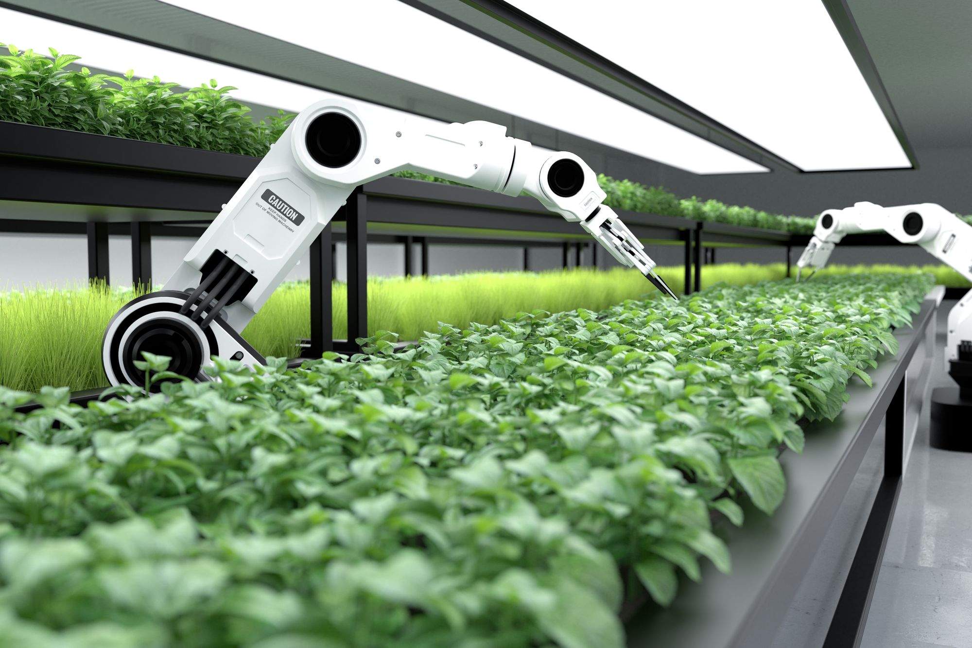 La Generalitat quiere tecnificar todavía más la agricultura catalana