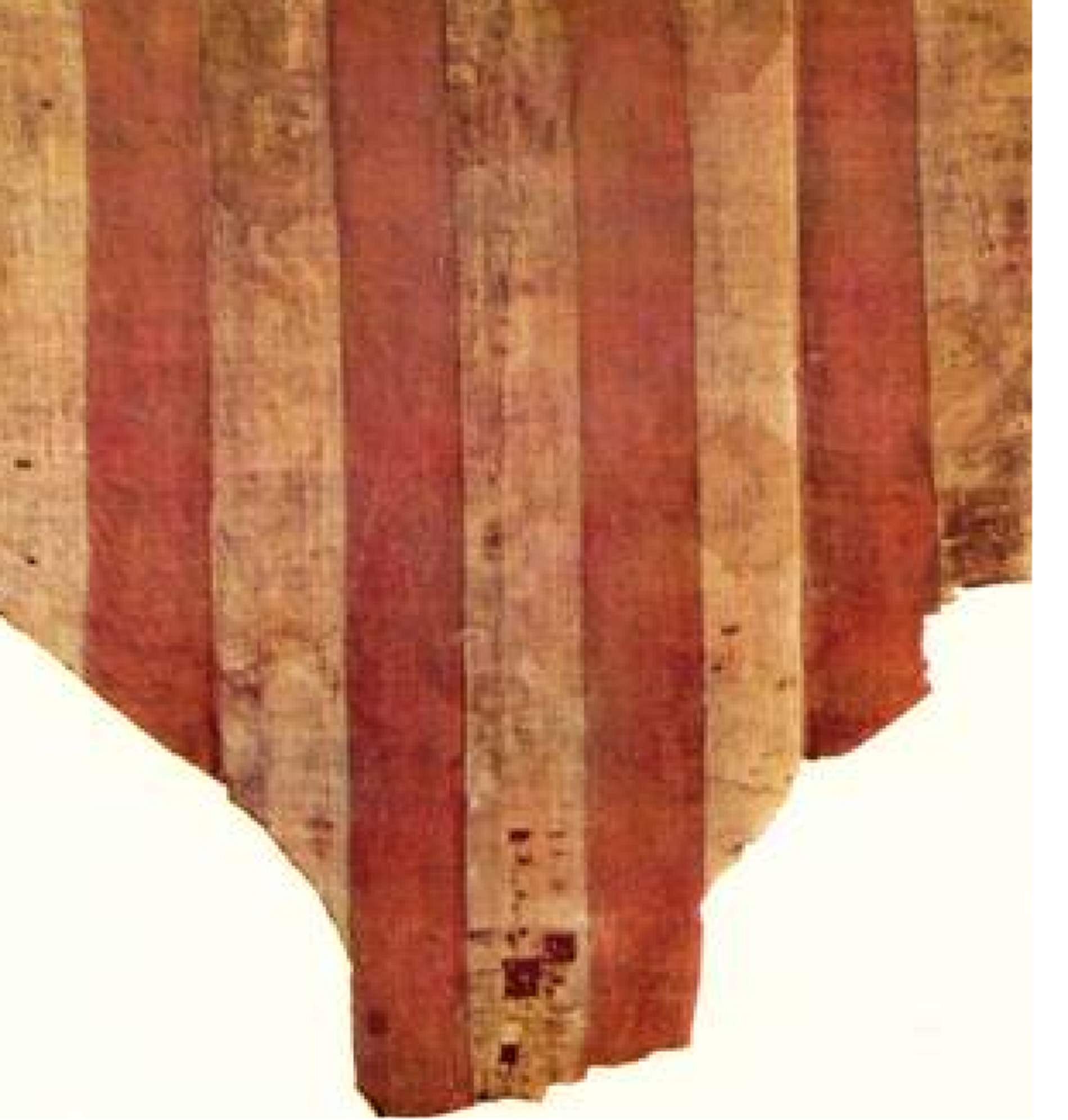 L’origen de la senyera quadribarrada