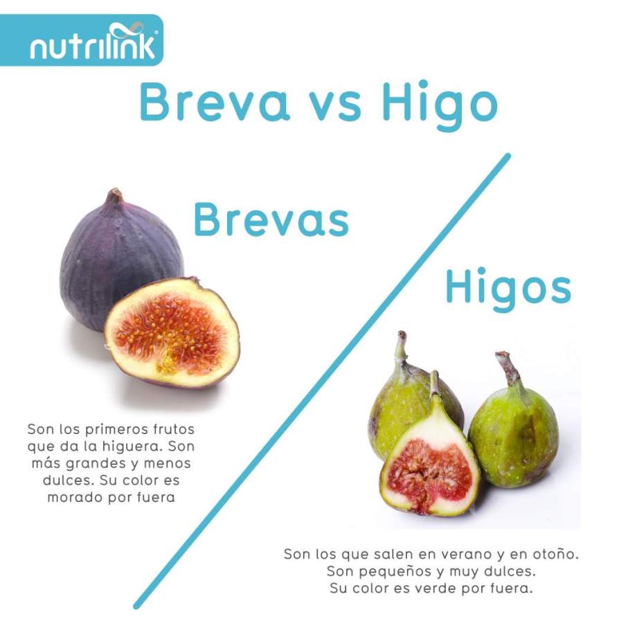 brevas brevas