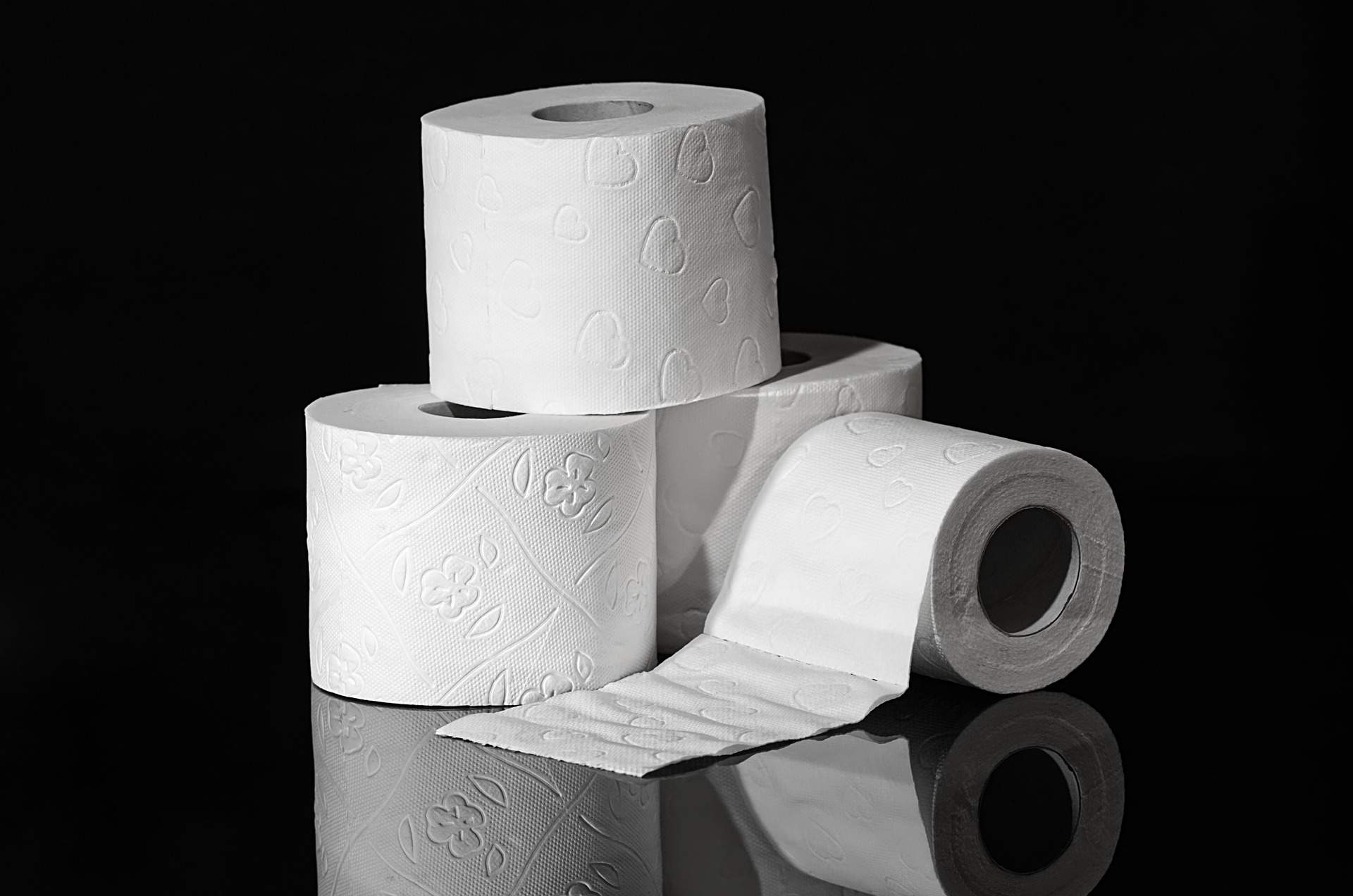 El truco del papel higiénico para lograr que tus plantas crezcan rápidamente