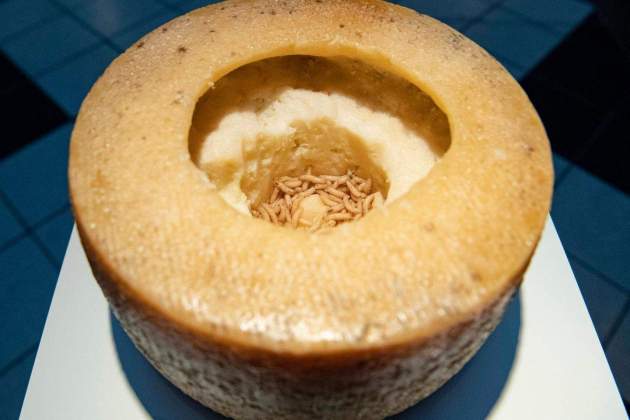Casu Marzu Casu Marzu