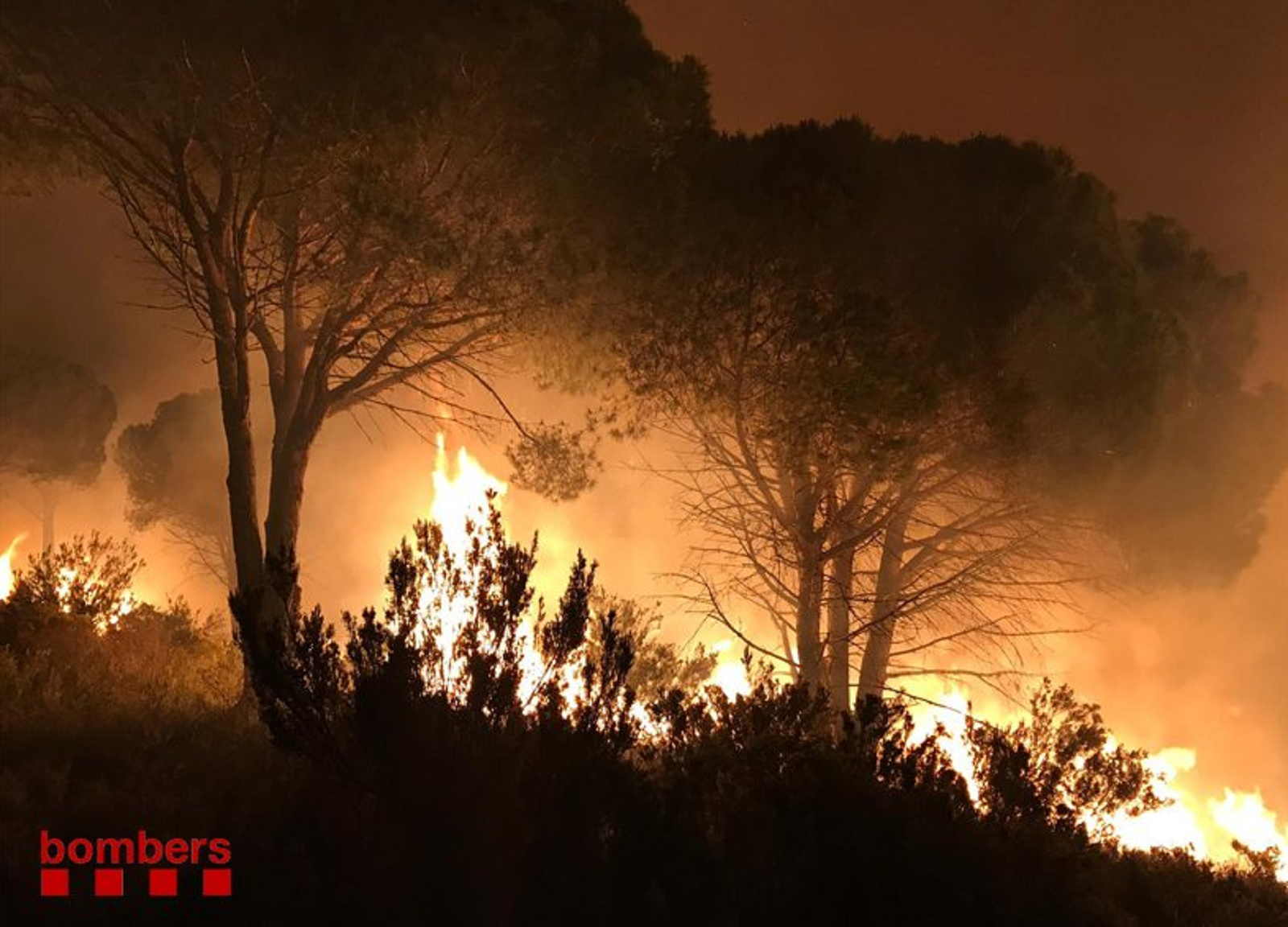 Estabilitzat un incendi forestal a Llançà
